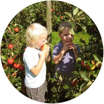Obsttag mit leckeren Smoothies
