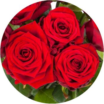 Rosentage