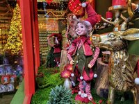 Weihnachtsshow 2025