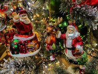 Weihnachtsshow 2025
